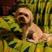 Sandy Canfield - Facebook