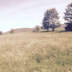 Sandycanfield - @sandycanfield12 - Instagram