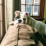 Sandy Cantrell Bourassa - @sandy_bourassa17 - Instagram