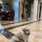 Sandy Cao - Facebook