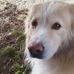 Sandy Capps - Facebook