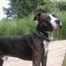 Sandy Capps - Facebook