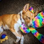 Sandy - @_sandy_castle_ - Instagram
