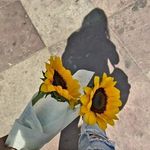 Sandy Cazares - @brandoncazares53 - Instagram