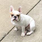 Sandy Chappell - @skchappell - Instagram