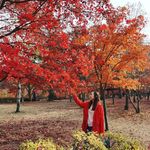 Sandy Chew - @sandy.chew - Instagram