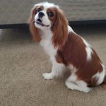 Sandy Chew - @sandy.chew.1 - Instagram