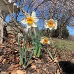 Nanny Sandy - @sandychildress20 - Instagram