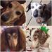 Sandy Childress - Facebook