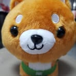 Sandy Chow - Facebook