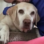 Sandy Clarke - @sandyclarke2 - Instagram