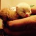 Sandy Clarke - Facebook