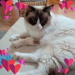 Sandy Clifton - Facebook