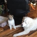 Sandy Sens Coates - @coatescorner - Instagram