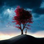 Sandy Coffman - @sandy.coffman.984 - Instagram