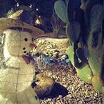 Sandy Guerra Colwell - @sc1959 - Instagram
