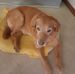 Sandy Conley - Facebook