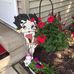 Sandy Conley - Facebook