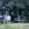 Sandy Conley - @sandy.conley - TikTok