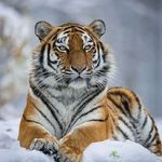 Sandy A Conover - @arelene47 - Instagram