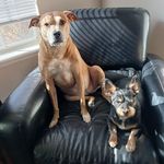 Sandy Conover - @sandy.conover.31 - Instagram
