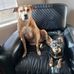Sandy Conover - Facebook