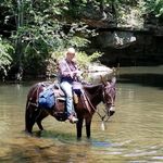 Sandy Costello Ferguson - @longears60 - Instagram
