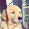 user5101388000214 - @sandy....costello - TikTok