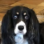 Sandra Covey Goforth - @sgoforth1383 - Instagram