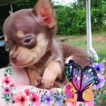Sandy Craddock - @sandycraddock007 - Instagram