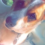 @sandy.cravens - Instagram
