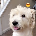 Sandy - @sandy_craven - Instagram