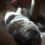 Sandy Crowe - @sandy.crowe.52012 - Instagram