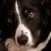 Sandy Crump - Facebook