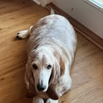 Sandy Parks Culver - @sandypculver - Instagram