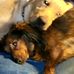 Sandy Curry - Facebook