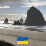 Sandy Curtis - @sandy.curtis.5851 - Instagram