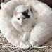 Sandy Danielson - Facebook