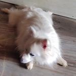 sandy🐾 - @sandydayma08 - Instagram