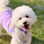 💛모래💛 - @sandy._.day - Instagram