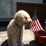 Sandy Dellinger - @sandy.dellinger.7 - Instagram