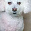 Sandra Diehl - @sandydiehl - TikTok