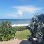 Sandy Barr Diehl - @diehlsandy - Instagram