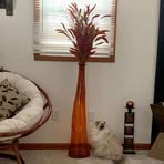 Sandy Diehl - Facebook