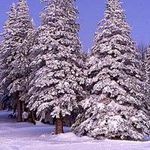 Sandy Diehl - @sld007_1 - Instagram