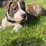 Sandy Diehl Main - Facebook