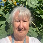Sandy Dingman - @sandy.dingman.53 - Instagram