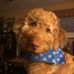 Sandy Dingus Martin - Facebook