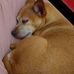Sandy Dobson - Facebook