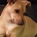 Sandy Dodson - Facebook